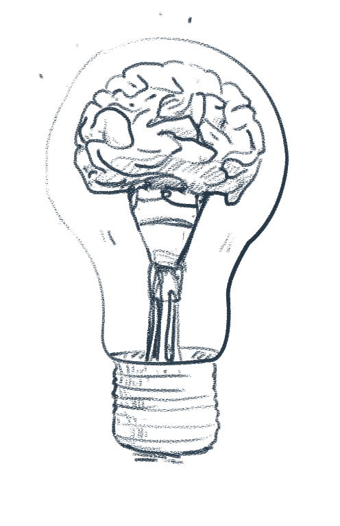 sketch of a bulb light with a brain inside, as a reference of creativity