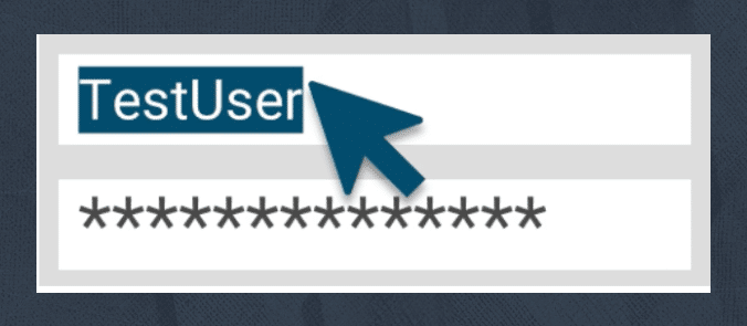 User can copy and paste username and password without transcribing